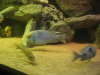 IMG_4380.jpg (2272x1704; 898386 bytes)